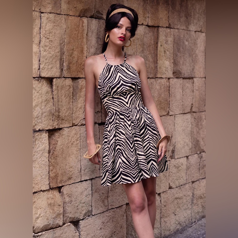 Trashy diva Gigi’s zebras iris dress.  Worn once, Like new!